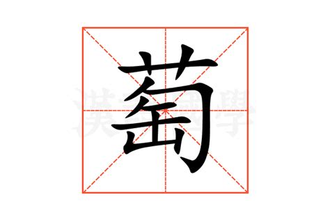 萄造詞|萄造詞，萄字的造詞